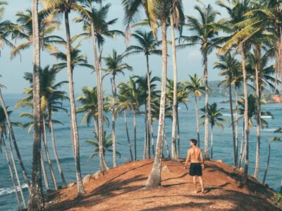 Warmer und günstiger Urlaub im Februar Reiseziel im Februar