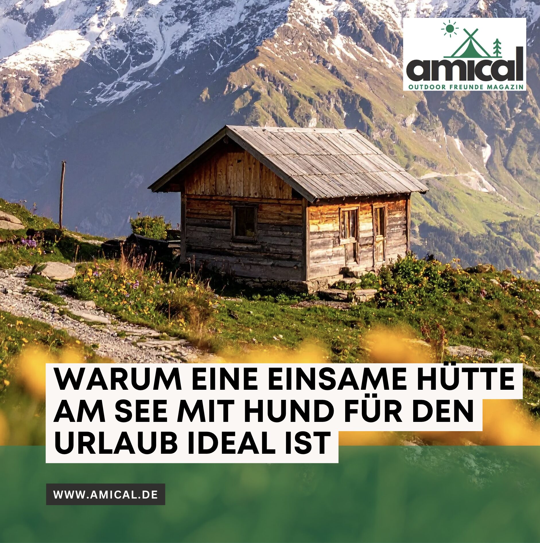 Warum eine einsame Hütte am See mit Hund für den Urlaub ideal ist
