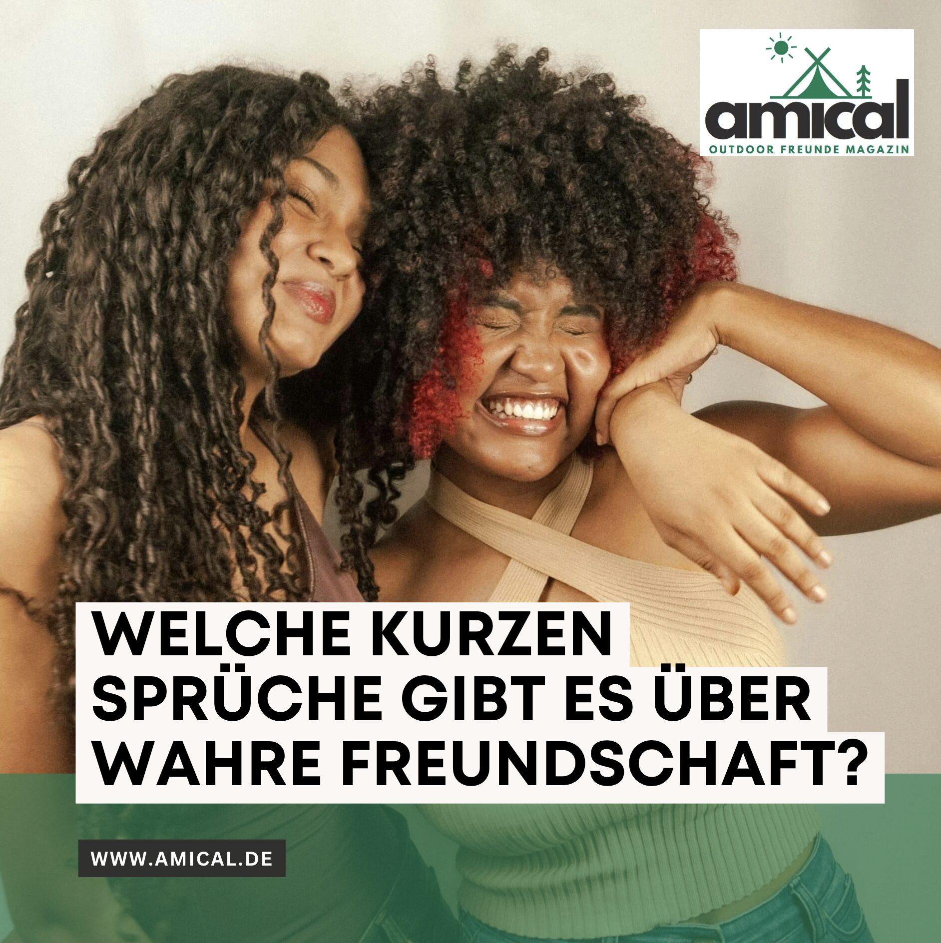 Bekloppte Freunde Sprüche wahre Freundschaft