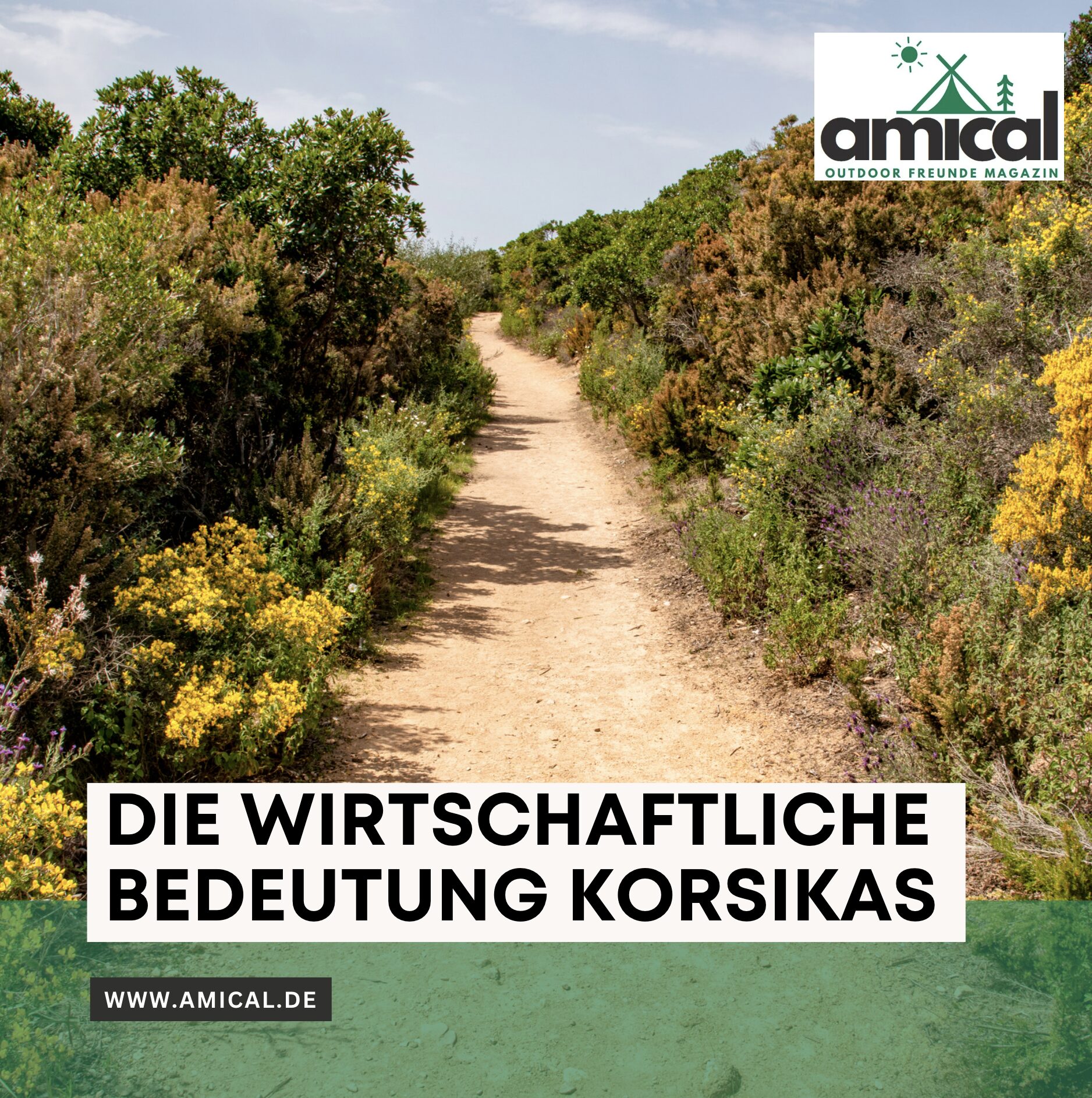 Die wirtschaftliche Bedeutung Korsikas