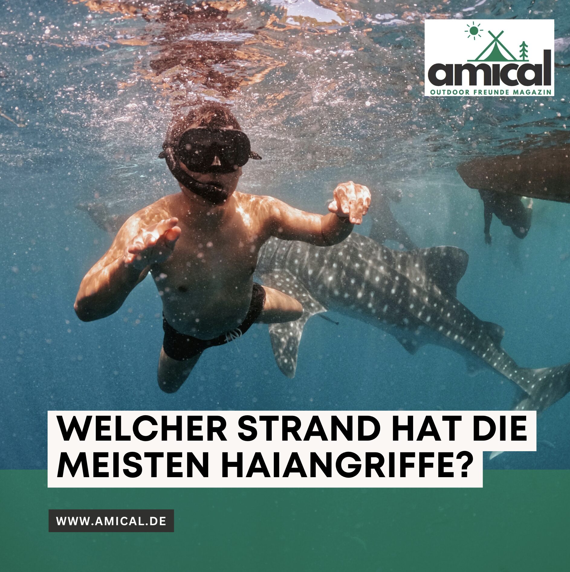 Welcher Strand hat die meisten Haiangriffe?