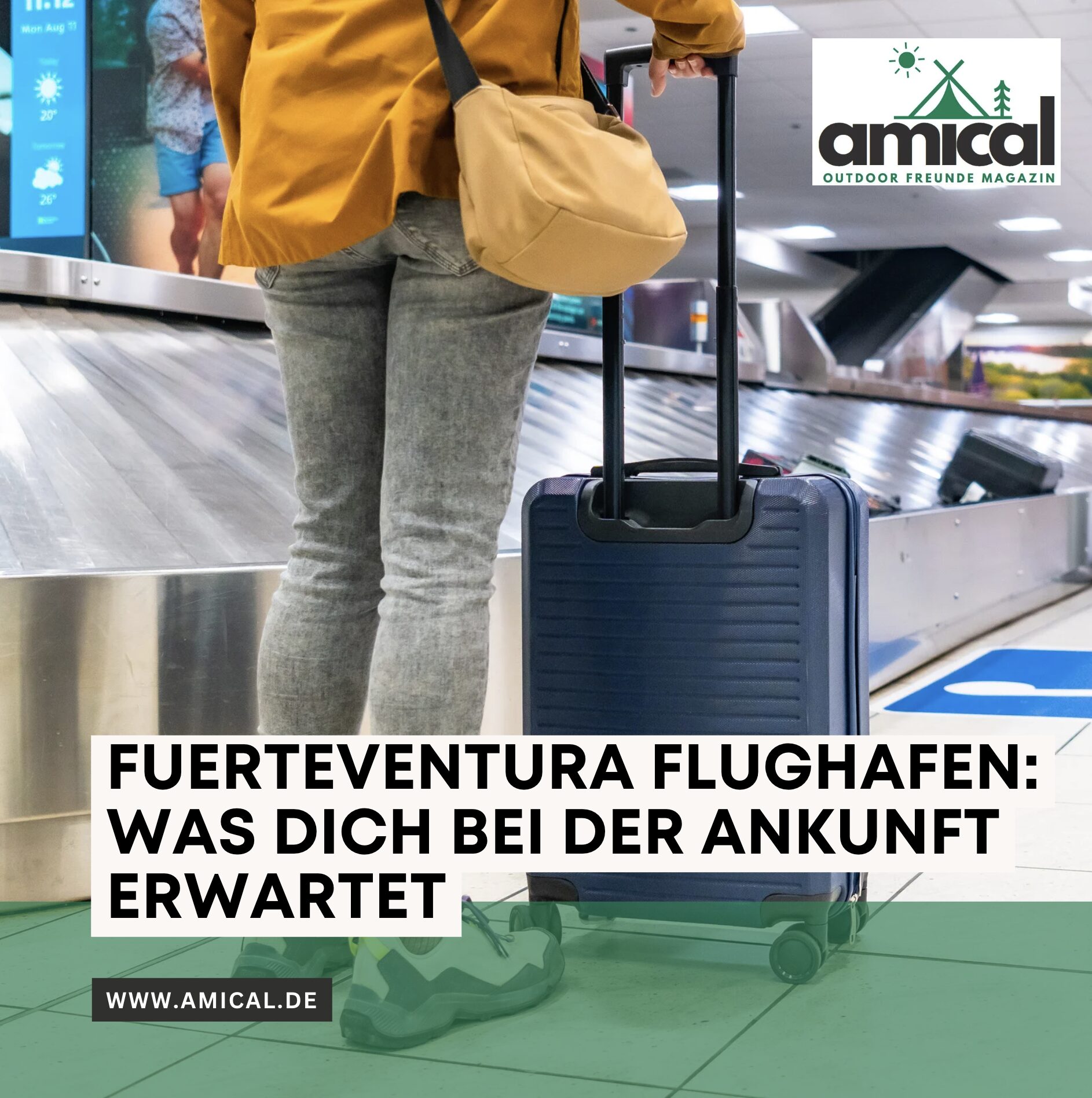 Fuerteventura Flughafen: Was dich bei der Ankunft erwartet
