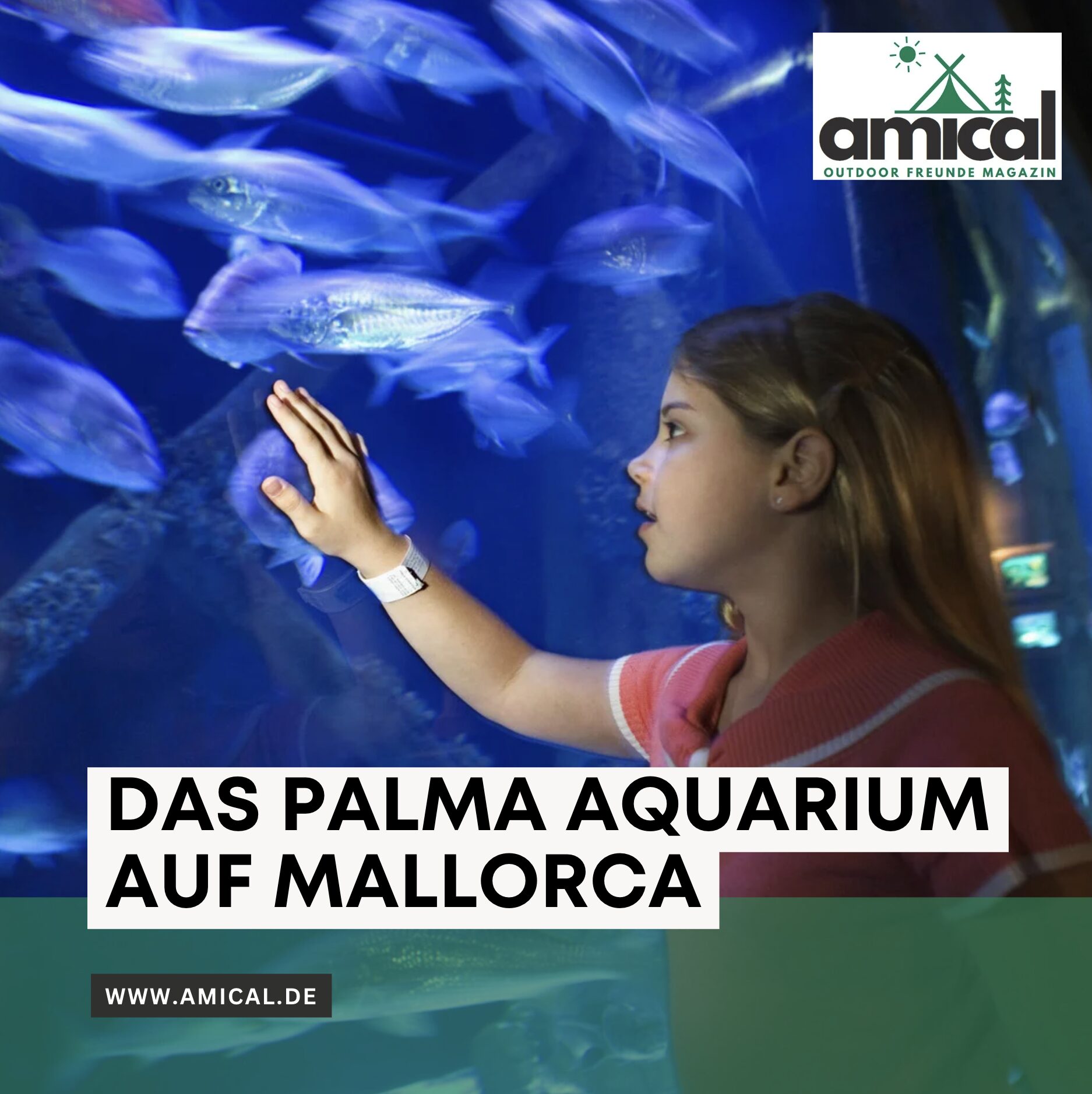 Das Palma Aquarium auf Mallorca