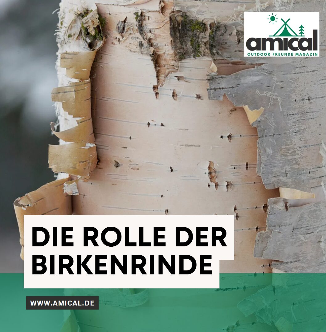 Die Rolle der Birkenrinde Die Rolle der Birkenrinde