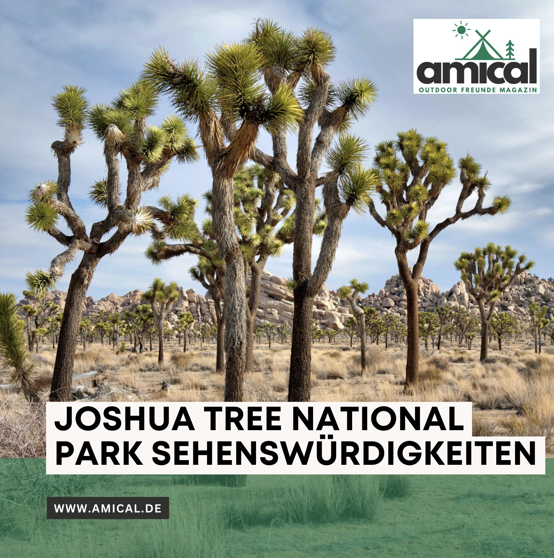 Joshua Tree National Park Sehenswürdigkeiten im Überblick