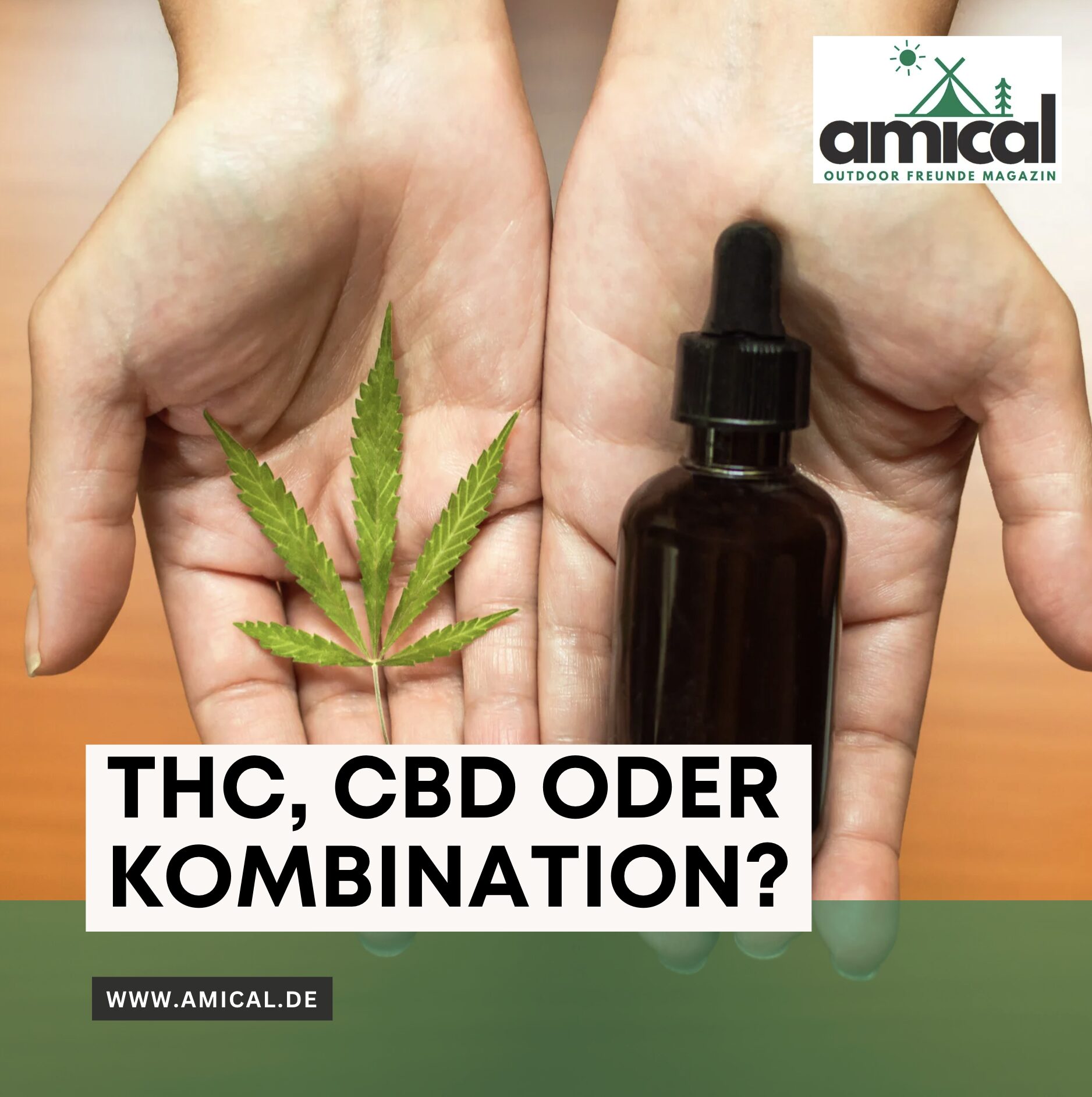 THC, CBD oder Kombination?