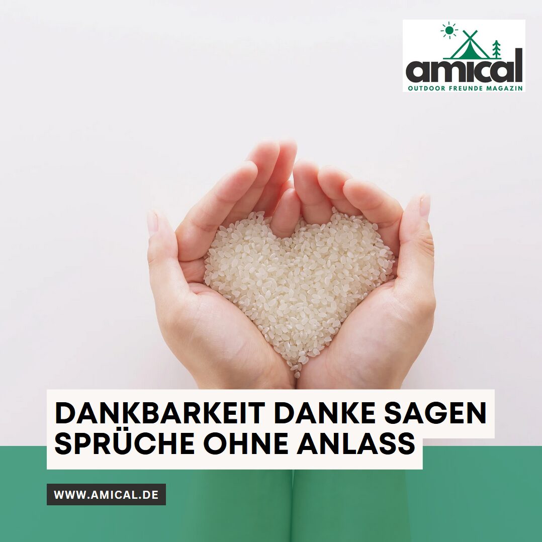 Dankbarkeit danke sagen Sprüche ohne Anlass