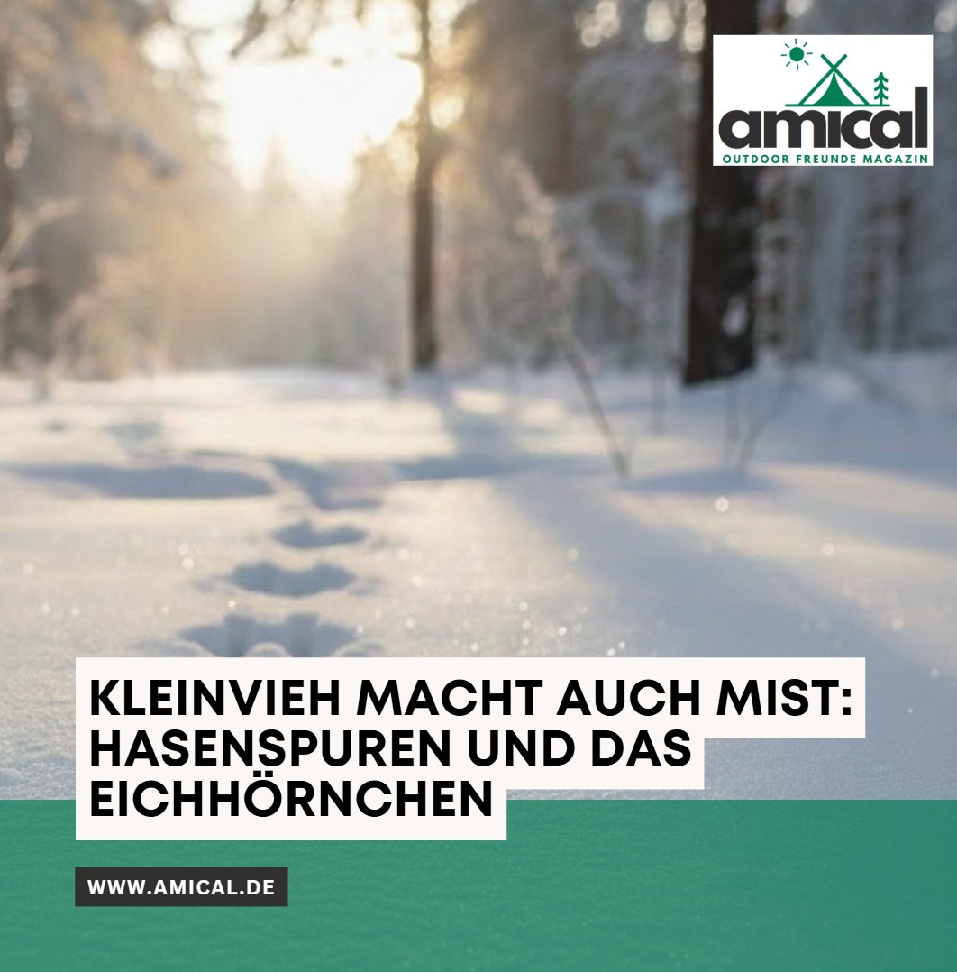 Kleinvieh macht auch Mist Hasenspuren und das Eichhörnchen Kleinvieh macht auch Mist Hasenspuren und das Eichhörnchen