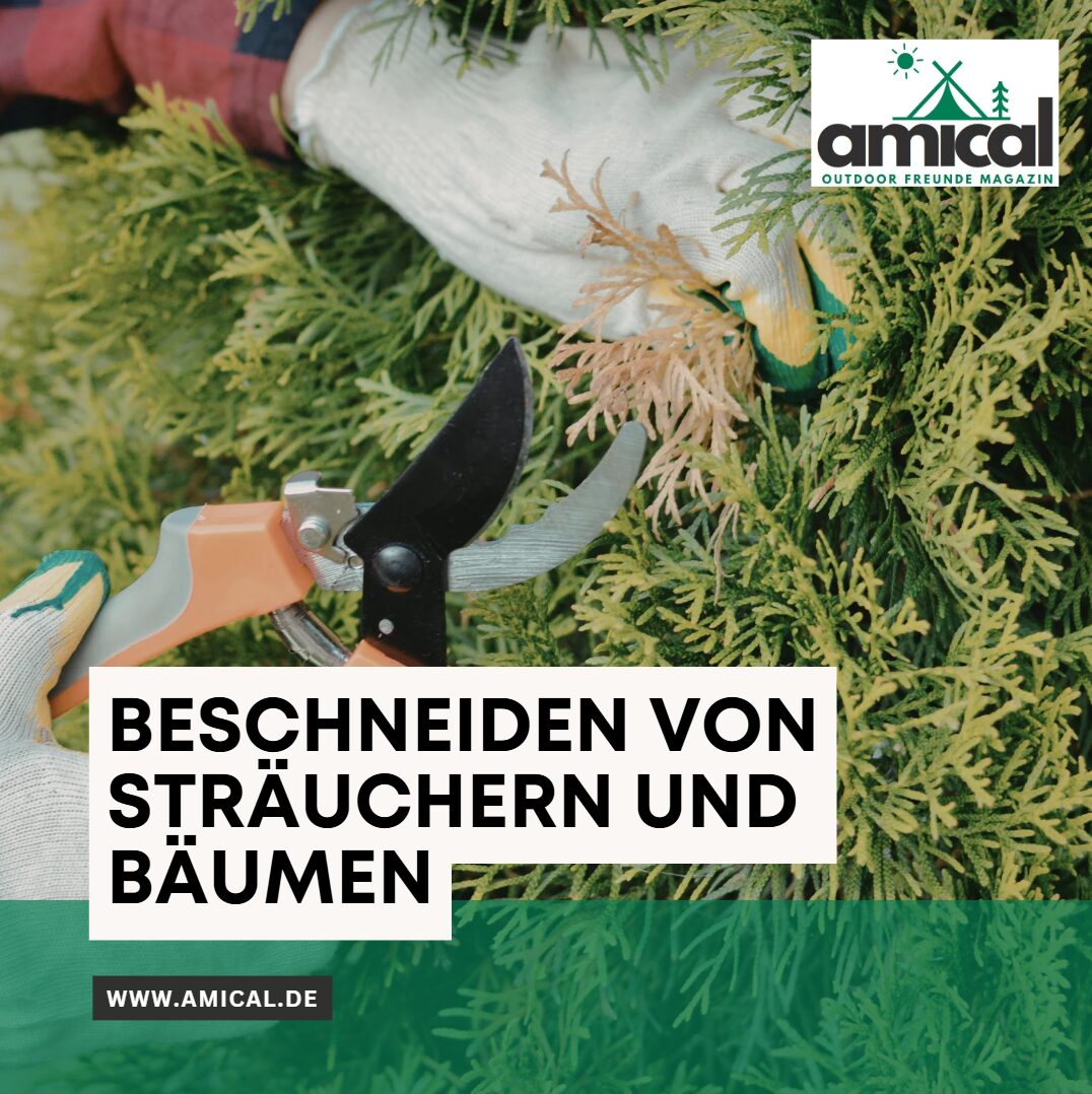 beschneiden von sträuchern