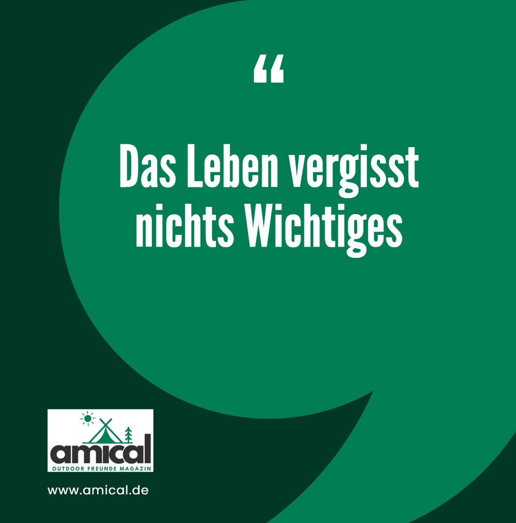 Das Leben vergisst nichts Wichtiges Das Leben vergisst nichts Wichtiges
