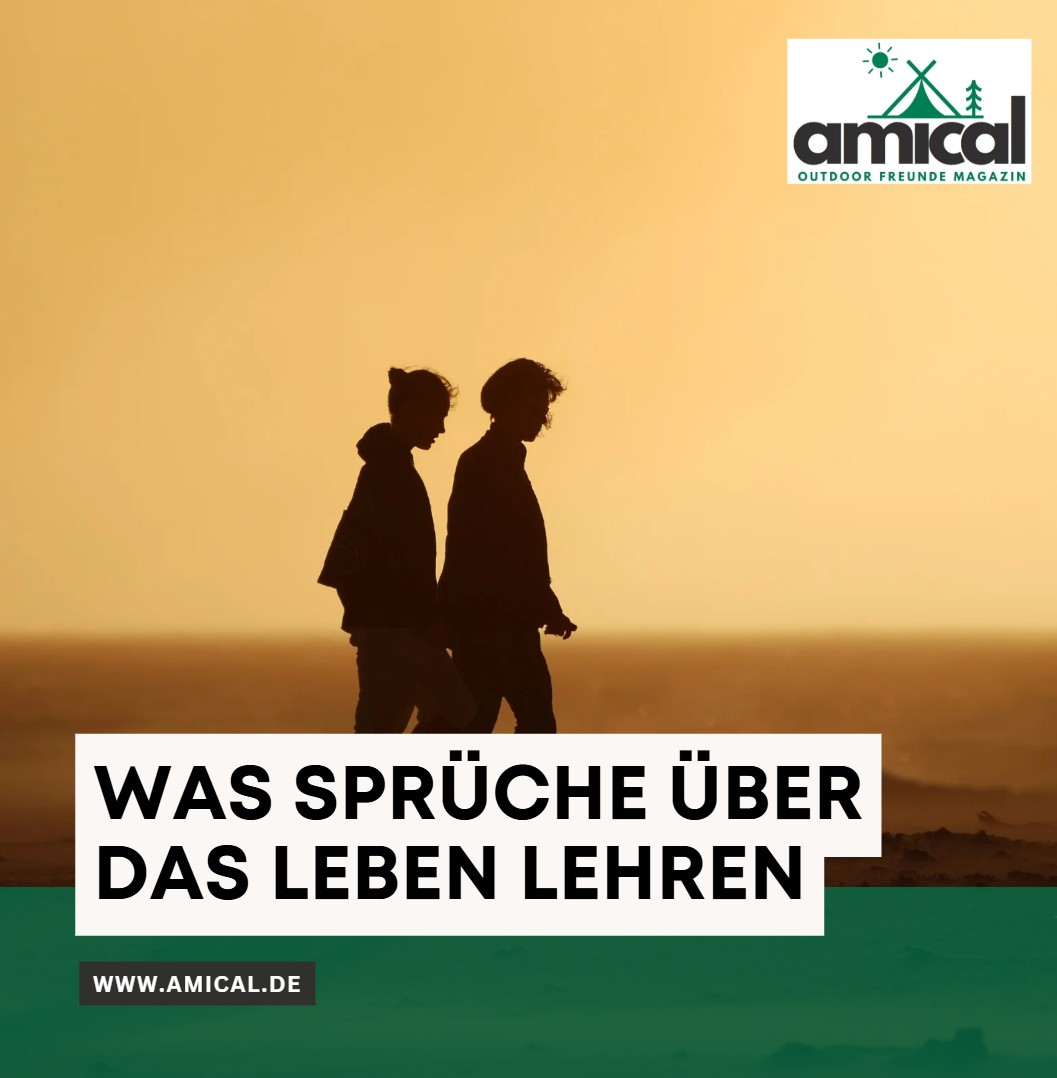 Was Sprüche über das Leben lehren Was Sprüche über das Leben lehren