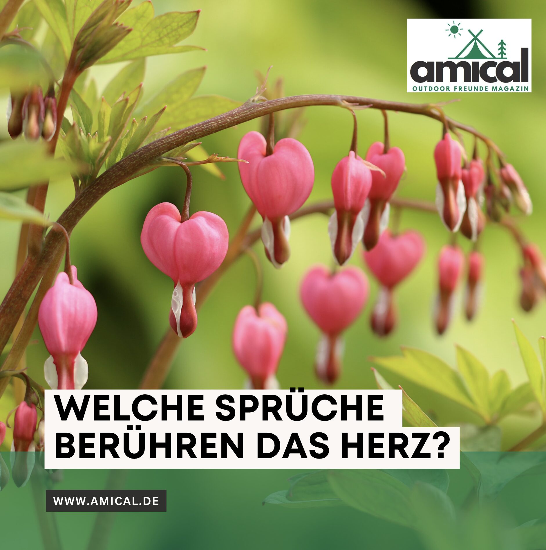 Welche Sprüche berühren das Herz?