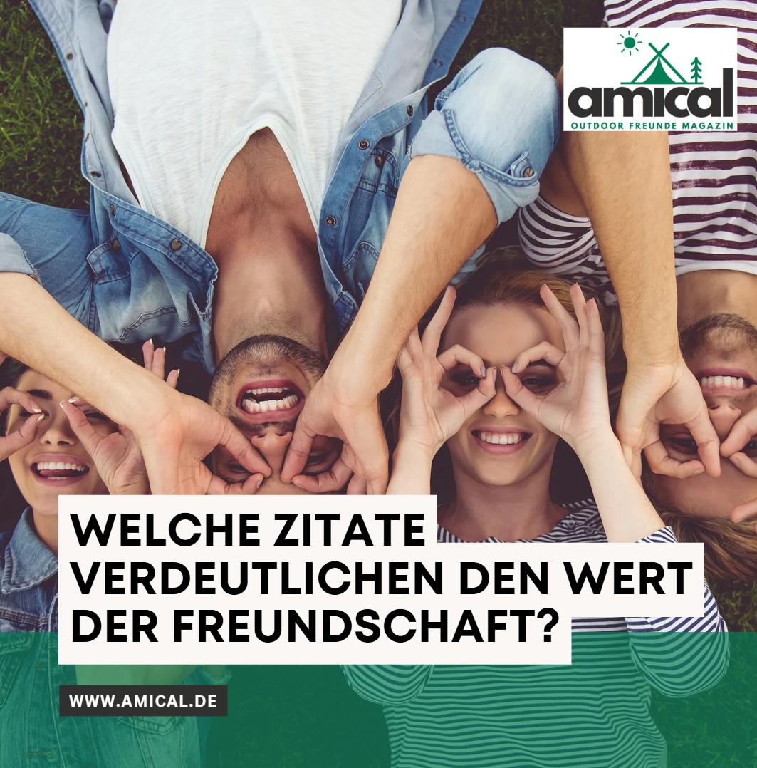 Welche Zitate verdeutlichen den Wert der Freundschaft