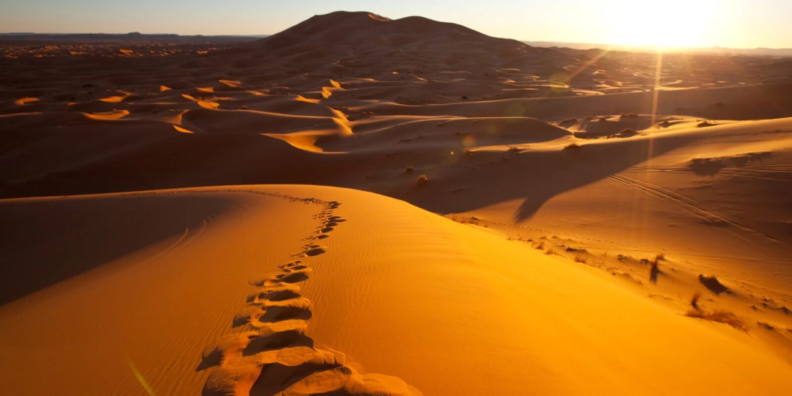 Größte Wüste der Welt Die Top 10 gigantischen Trockengebiete unserer Erde