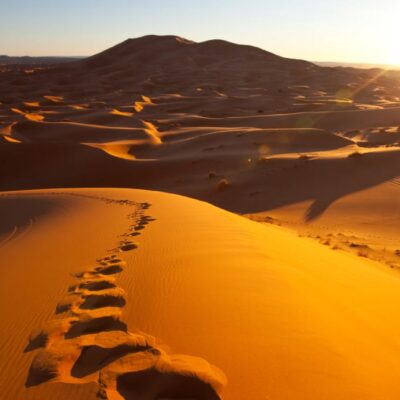 Größte Wüste der Welt Die Top 10 gigantischen Trockengebiete unserer Erde