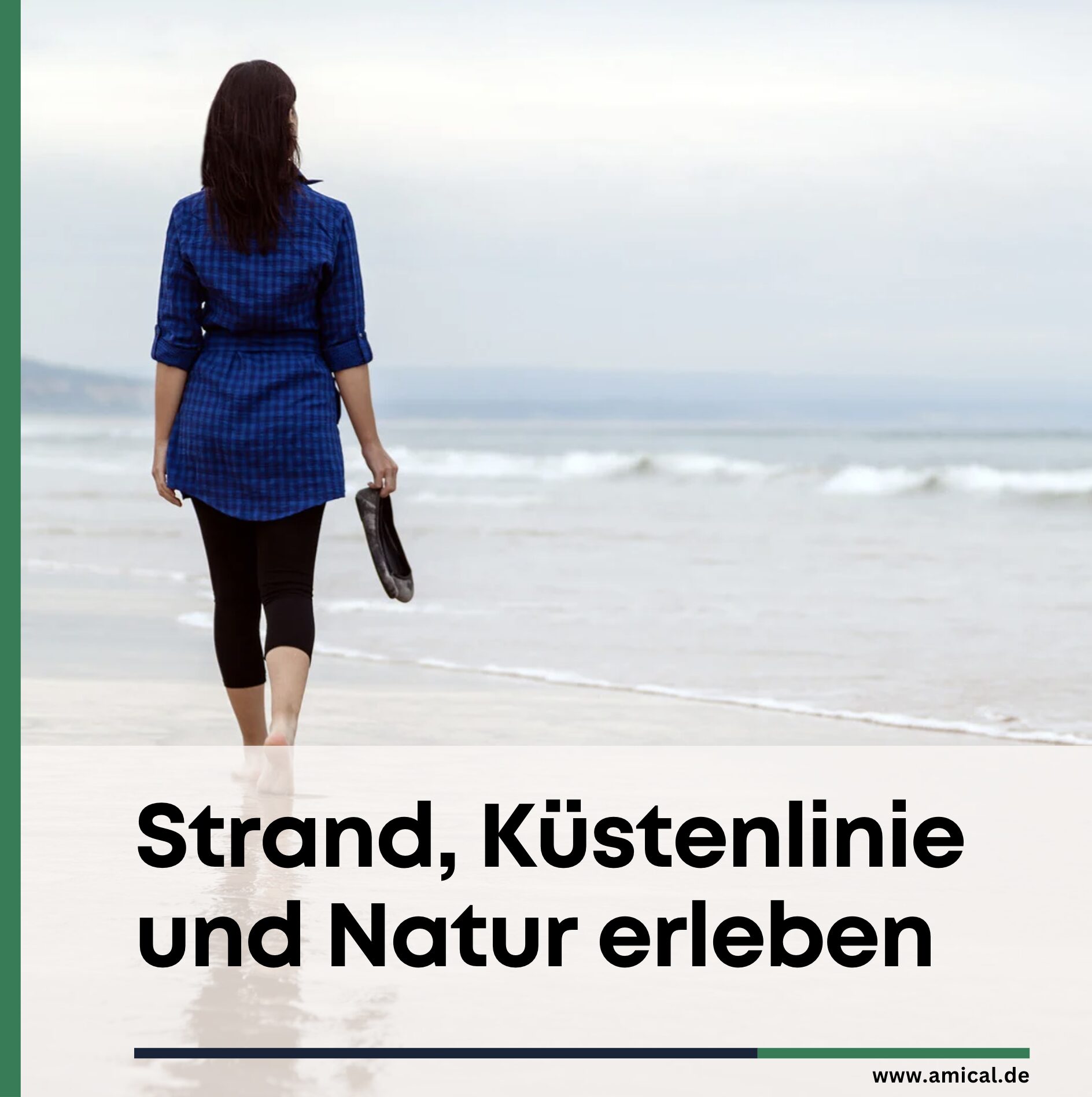 Dänische Insel in der Ostsee: Strand, Küstenlinie und Natur erleben