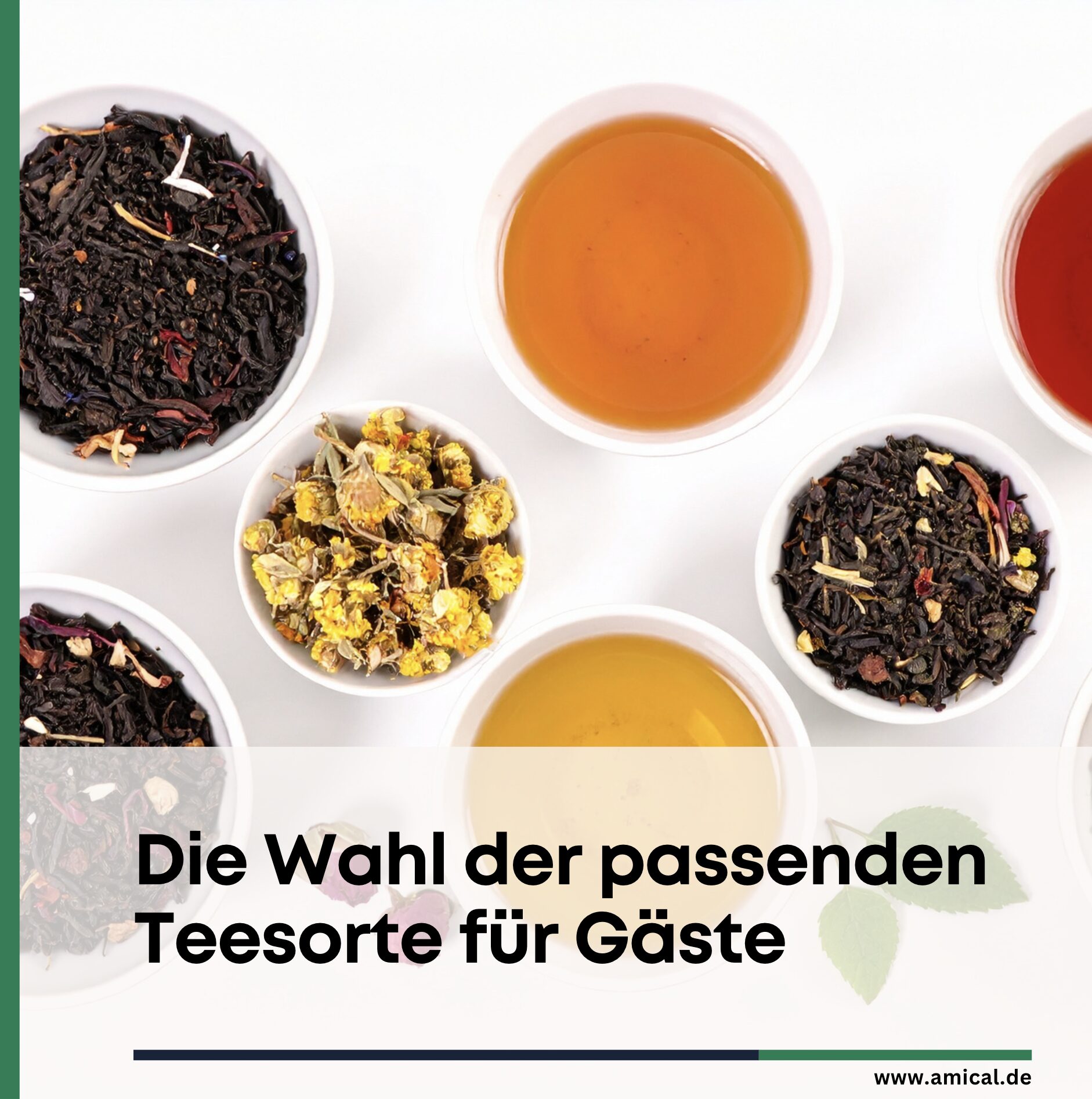 Die Wahl der passenden Teesorte für Gäste