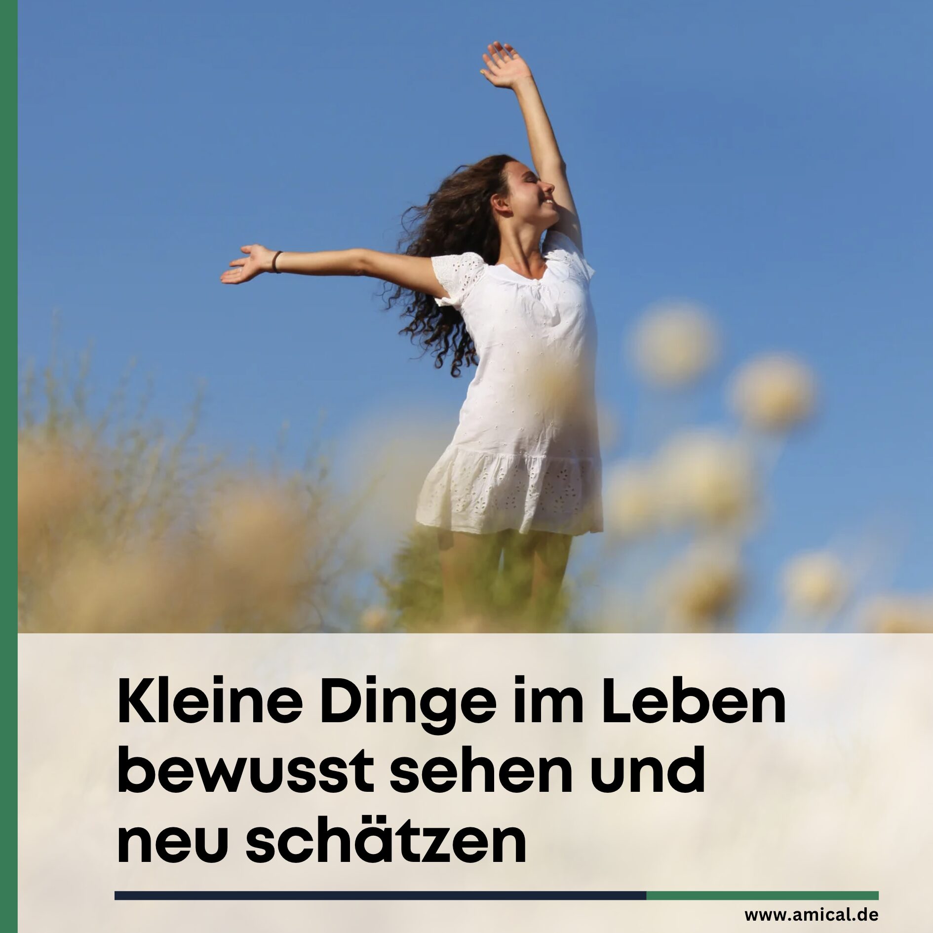 Kleine Dinge im Leben bewusst sehen und neu schätzen Kleine Dinge im Leben bewusst sehen und neu schätzen