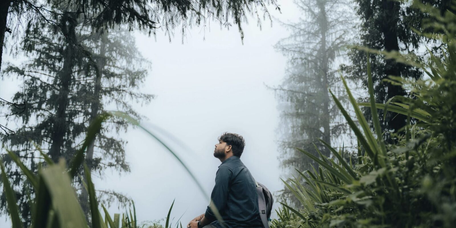 Solo-Abenteuer im Wald