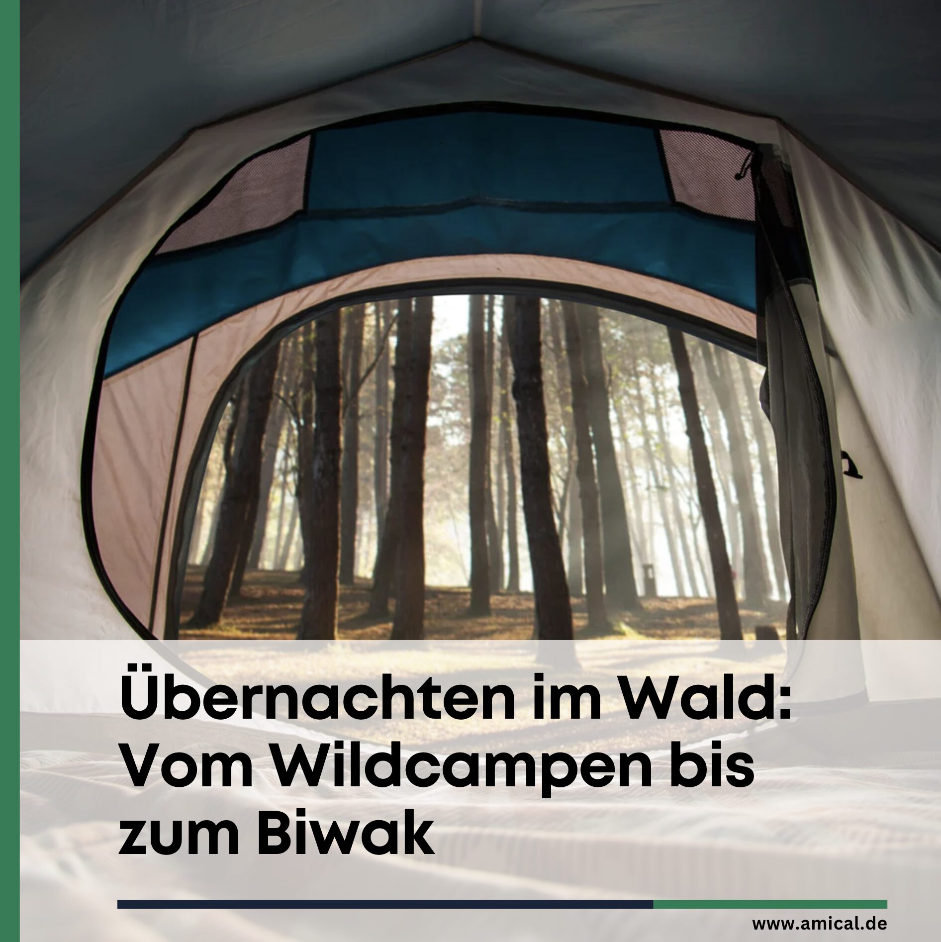 Übernachten im Wald: Vom Wildcampen bis zum Biwak