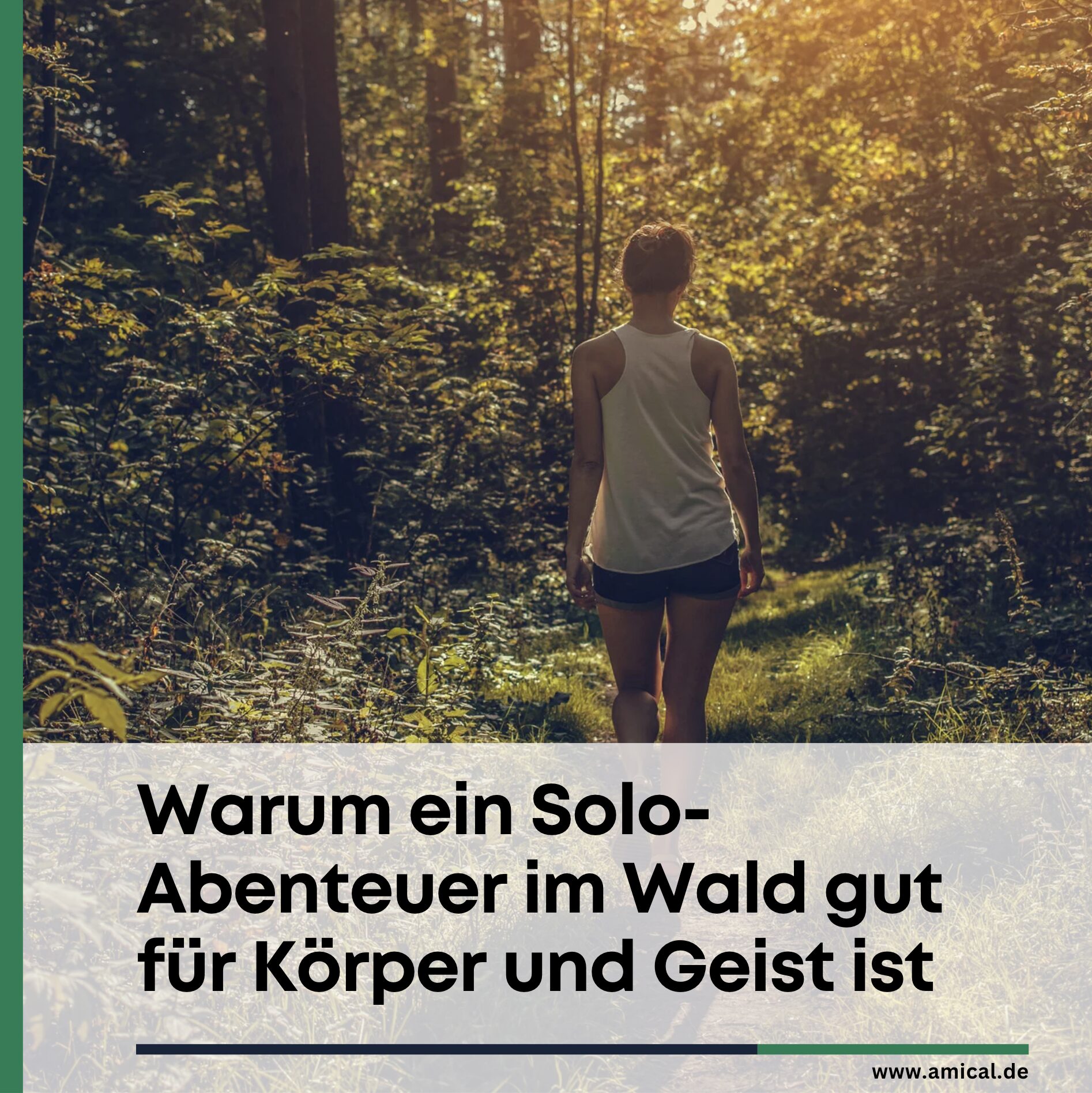 Warum ein Solo-Abenteuer im Wald gut für Körper und Geist ist