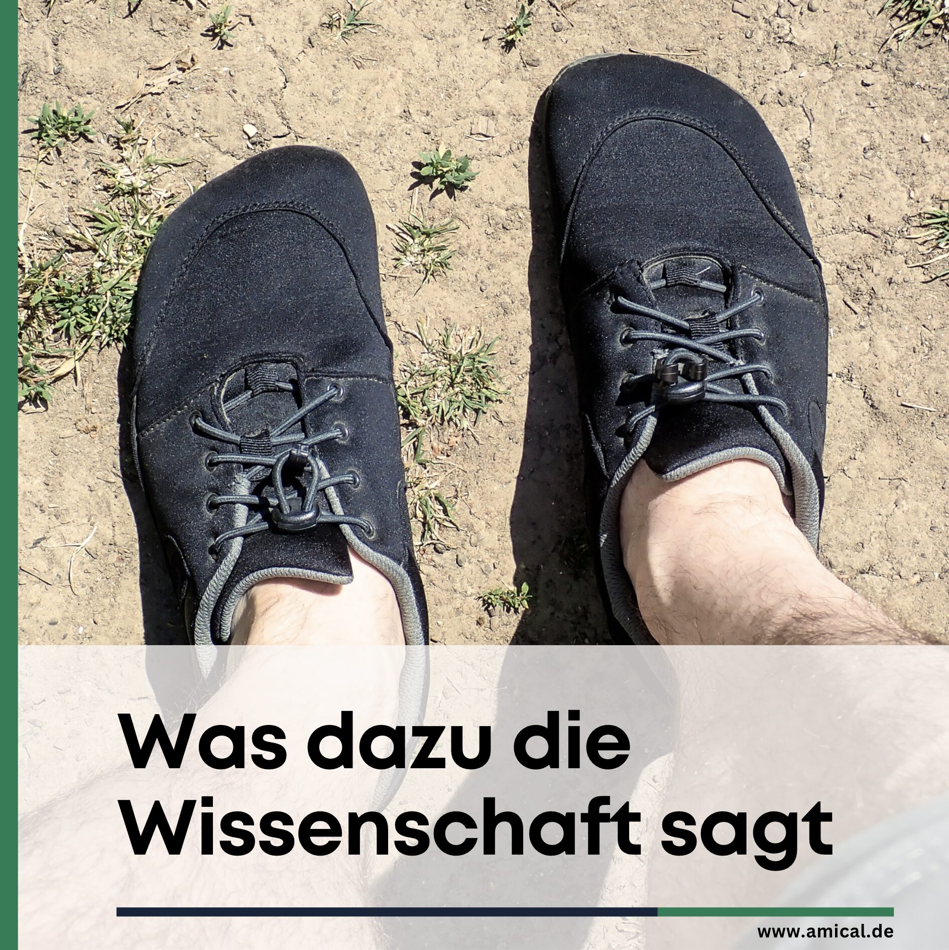 Was dazu die Wissenschaft sagt