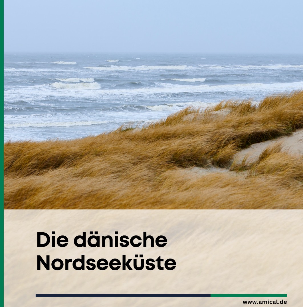 Die dänische Nordseeküste Naturgewalten und weite Sandstrände Die dänische Nordseeküste Naturgewalten und weite Sandstrände