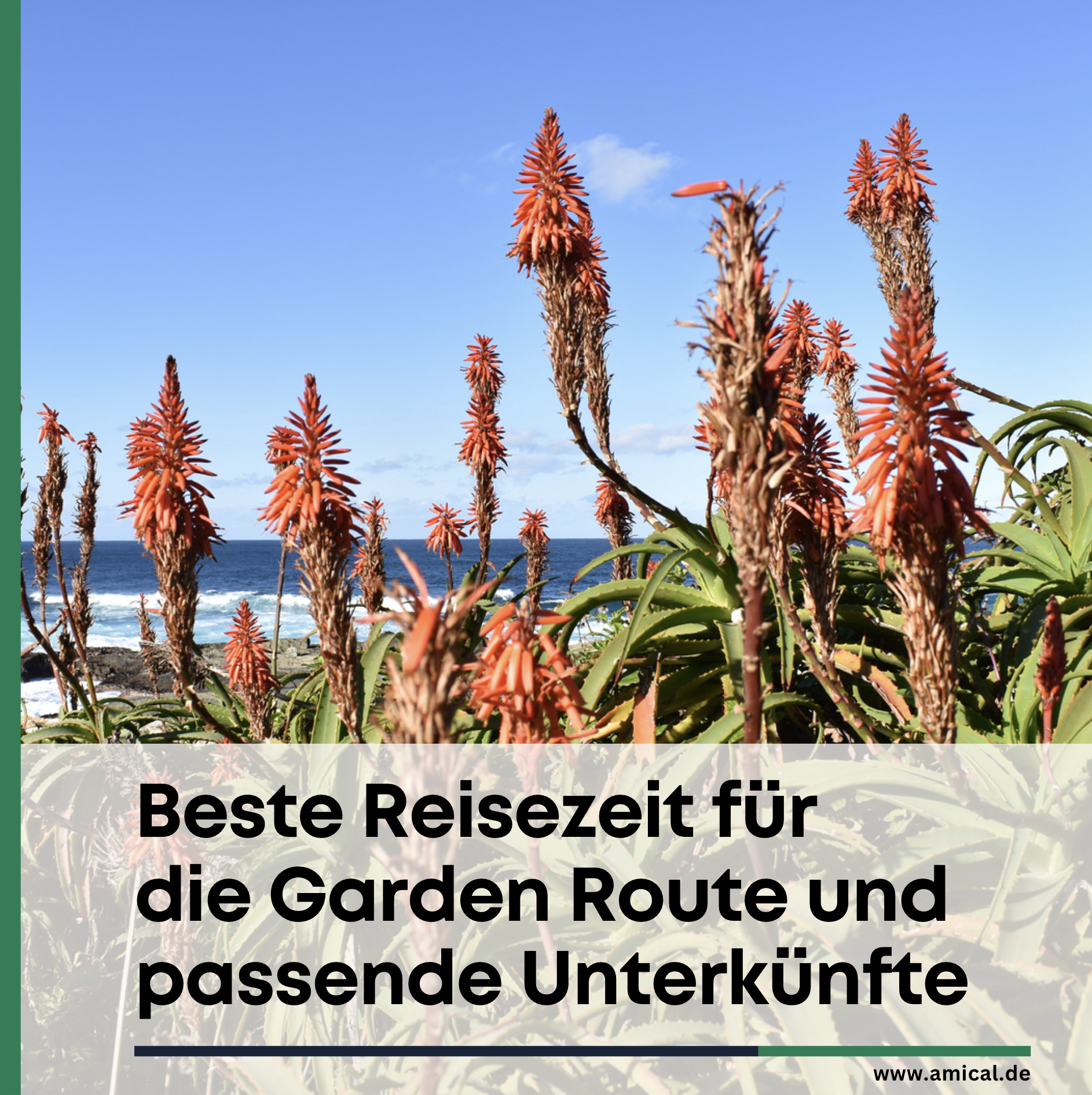 Beste Reisezeit für die Garden Route und passende Unterkünfte Beste Reisezeit für die Garden Route und passende Unterkünfte
