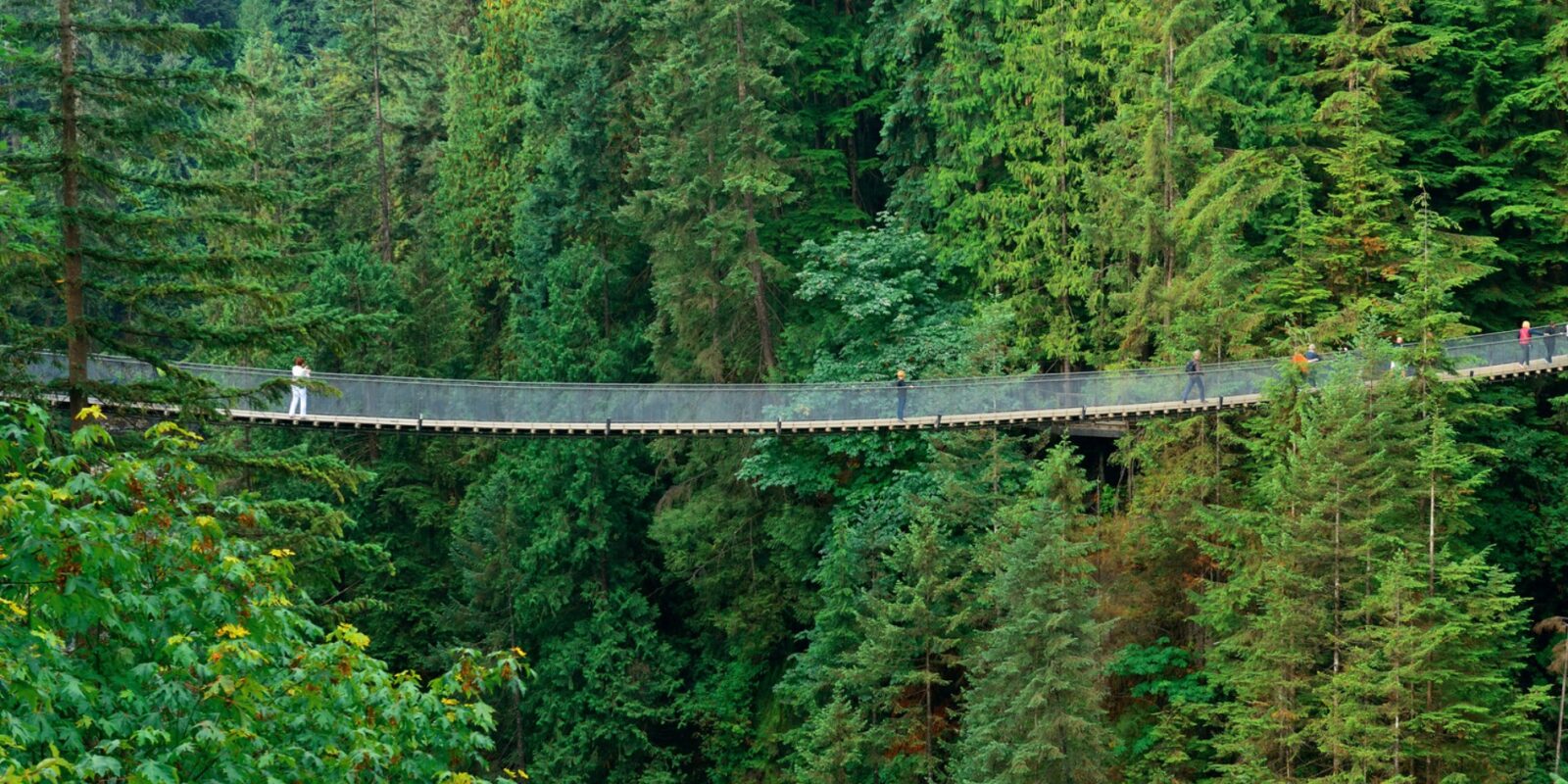Längste Hängebrücke der Welt Atemberaubende Rekorde und spektakuläre Ausblicke
