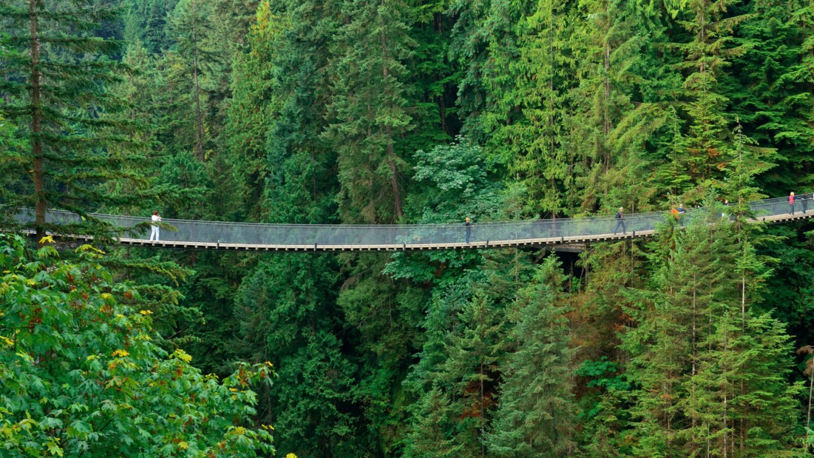 Längste Hängebrücke der Welt Atemberaubende Rekorde und spektakuläre Ausblicke