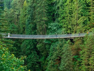 Längste Hängebrücke der Welt Atemberaubende Rekorde und spektakuläre Ausblicke