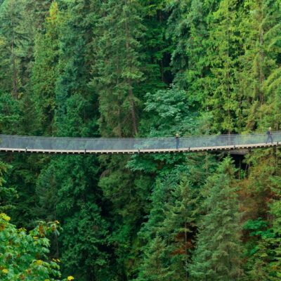 Längste Hängebrücke der Welt Atemberaubende Rekorde und spektakuläre Ausblicke
