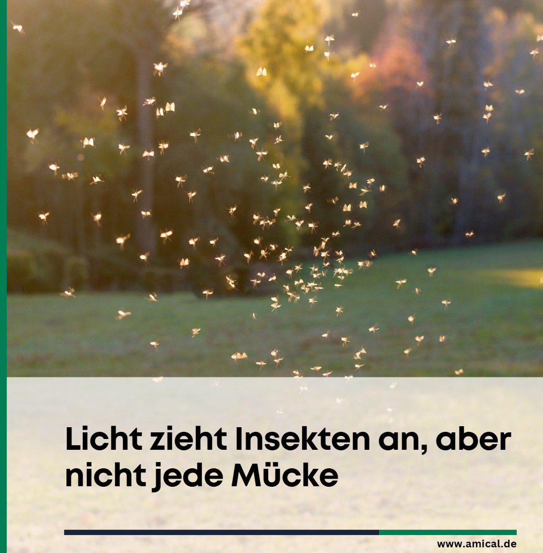 Licht zieht Insekten an, aber nicht jede Mücke Licht zieht Insekten an, aber nicht jede Mücke