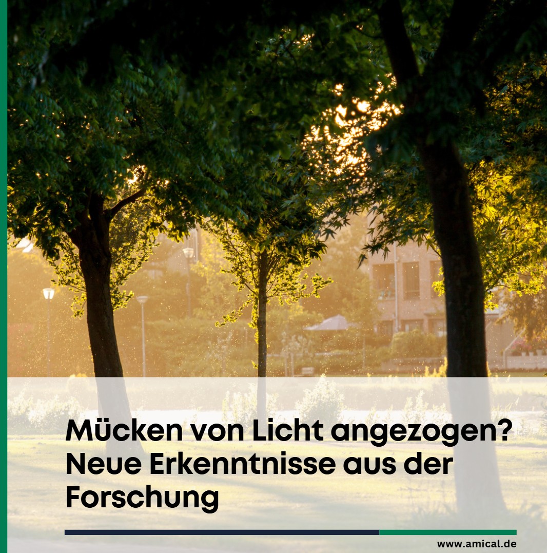 Mücken von Licht angezogen Neue Erkenntnisse aus der Forschung Mücken von Licht angezogen Neue Erkenntnisse aus der Forschung