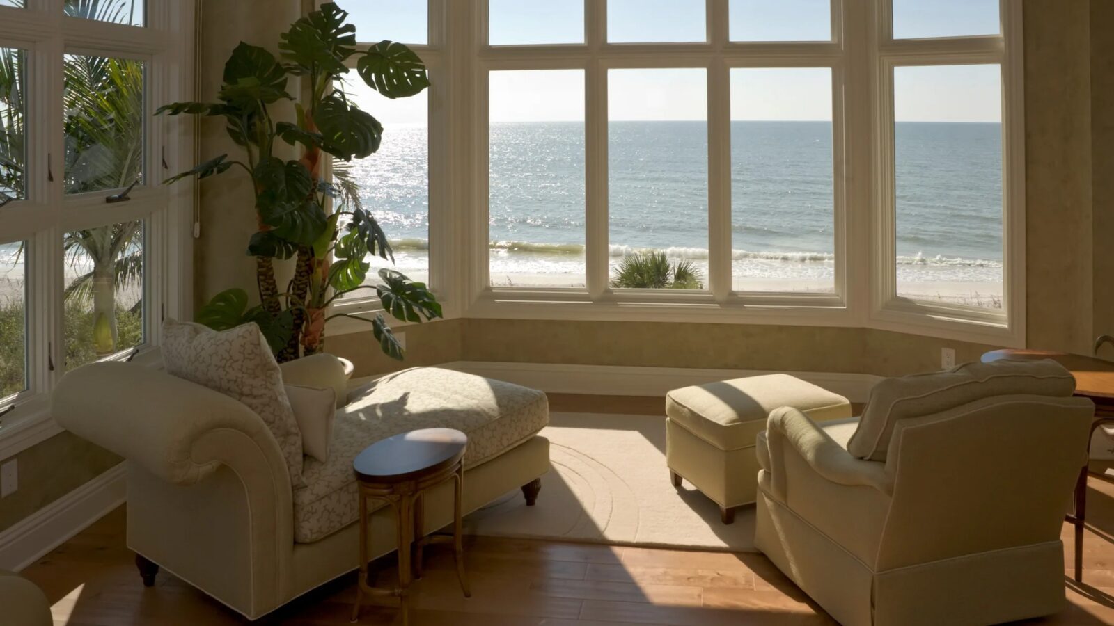 Tiny House in Holland am Strand Wenn dein Fenster direkt aufs Meer geht