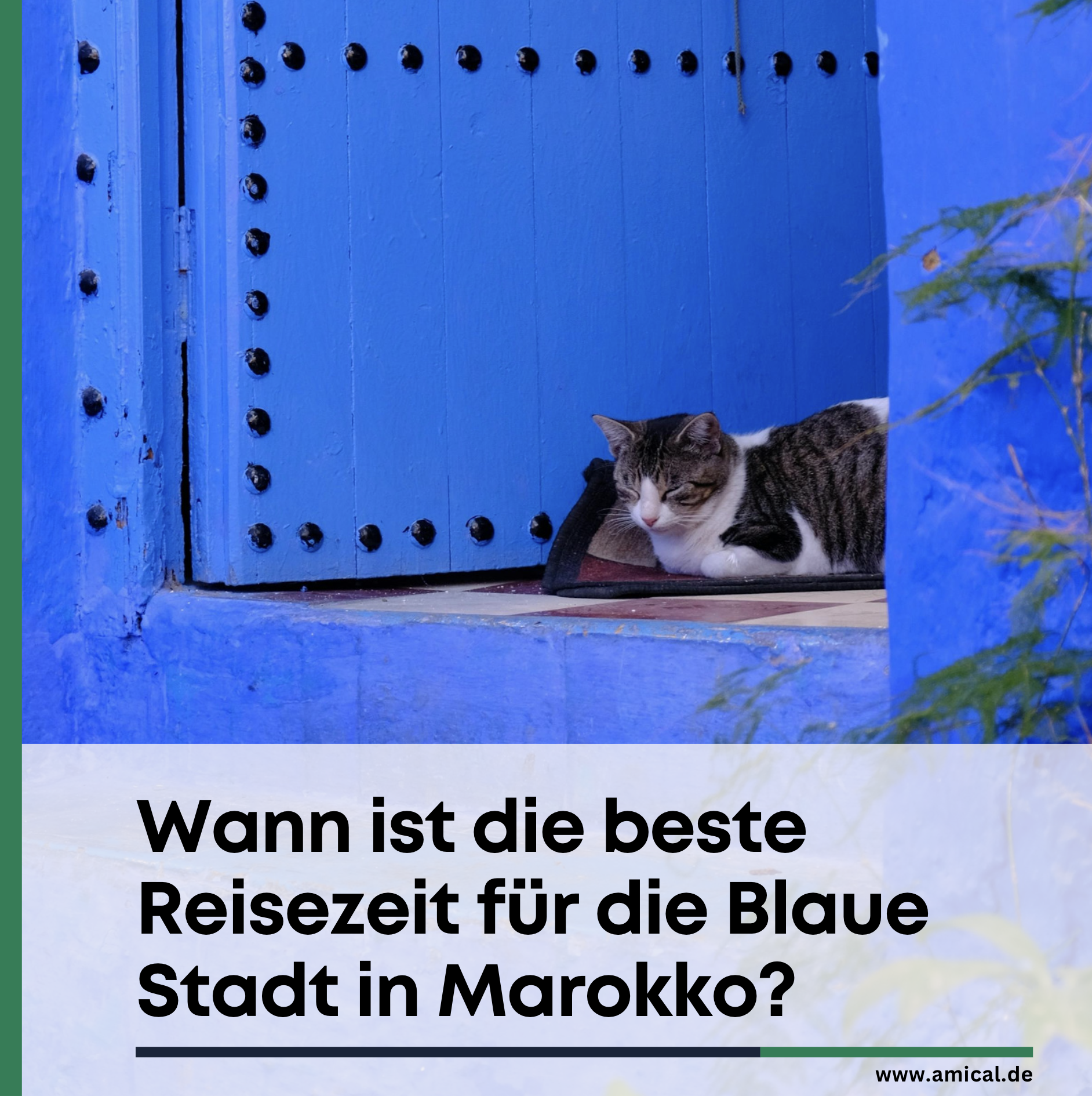 Wann ist die beste Reisezeit für die Blaue Stadt in Marokko? Wann ist die beste Reisezeit für die Blaue Stadt in Marokko?