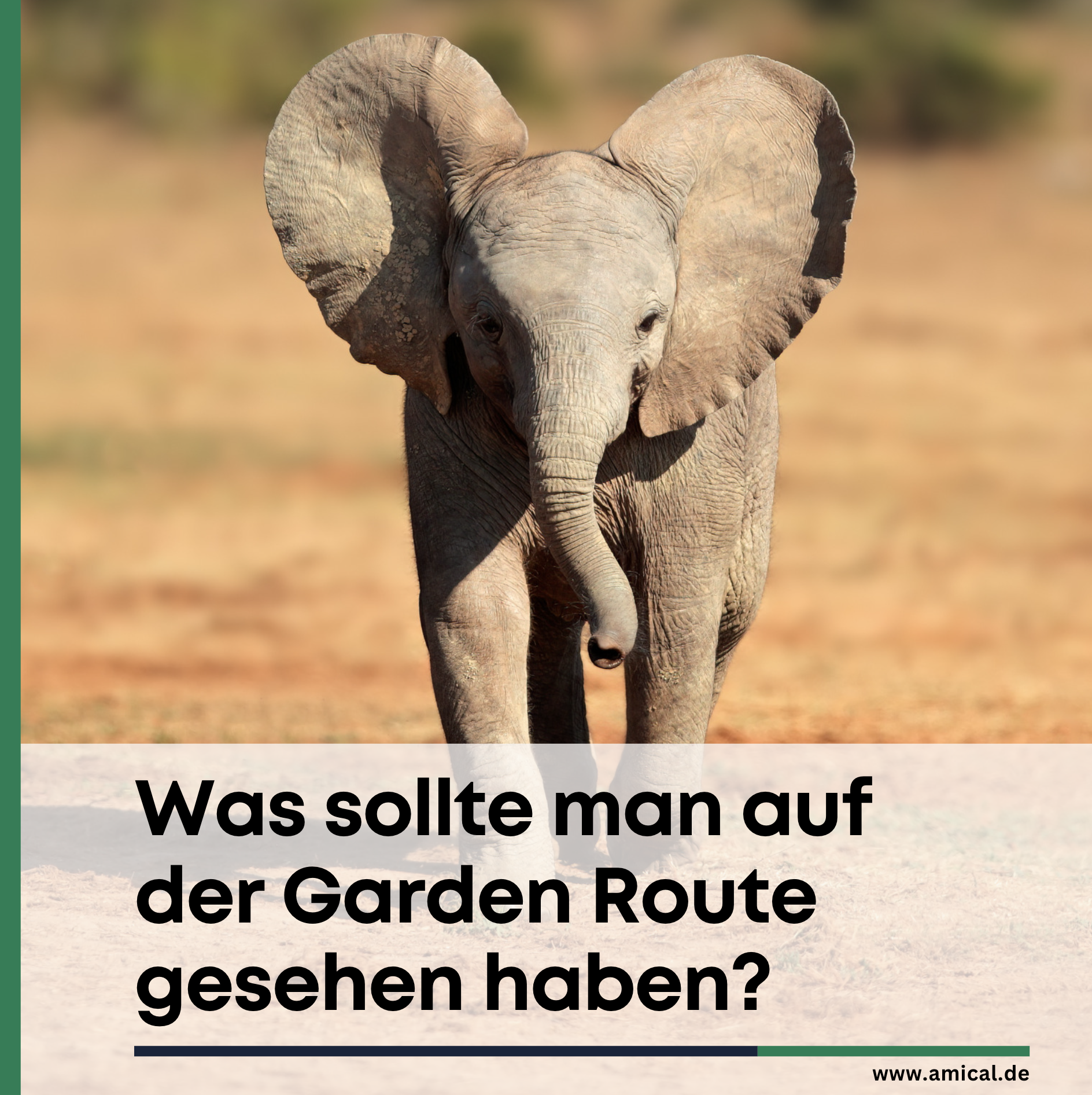 Was sollte man auf der Garden Route gesehen haben? Was sollte man auf der Garden Route gesehen haben?