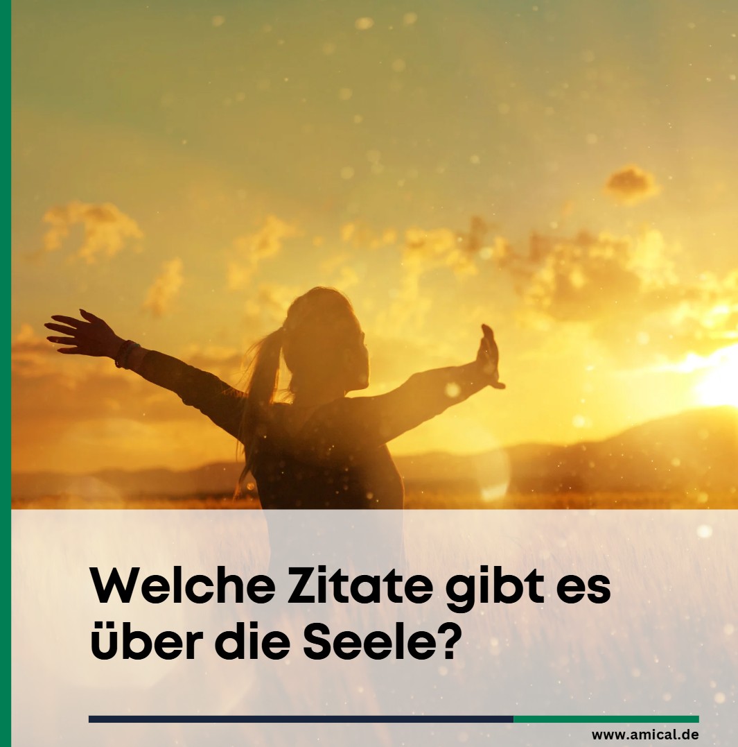 Welche Zitate gibt es über die Seele Welche Zitate gibt es über die Seele
