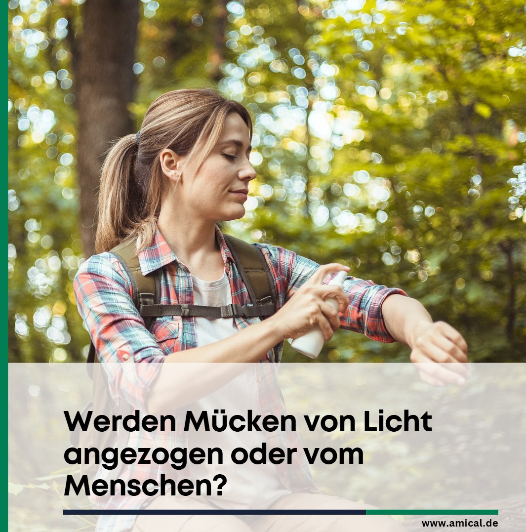 Werden Mücken von Licht angezogen oder vom Menschen? Werden Mücken von Licht angezogen oder vom Menschen?