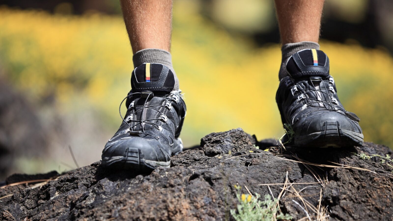 Mammut Mercury IV Mid GTX Men
