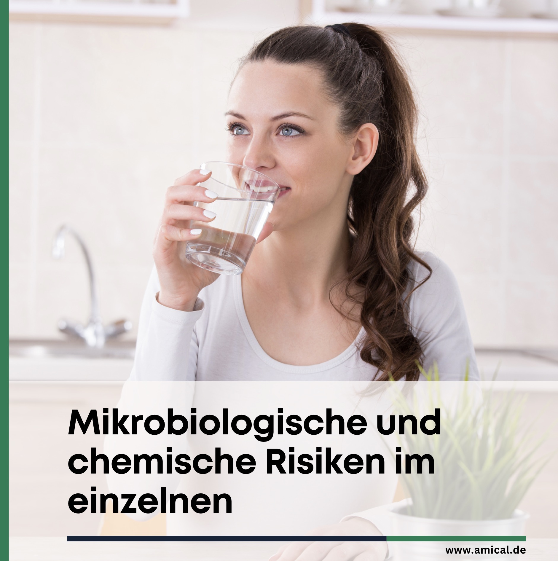 Mikrobiologische und chemische Risiken im einzelnen Mikrobiologische und chemische Risiken im einzelnen