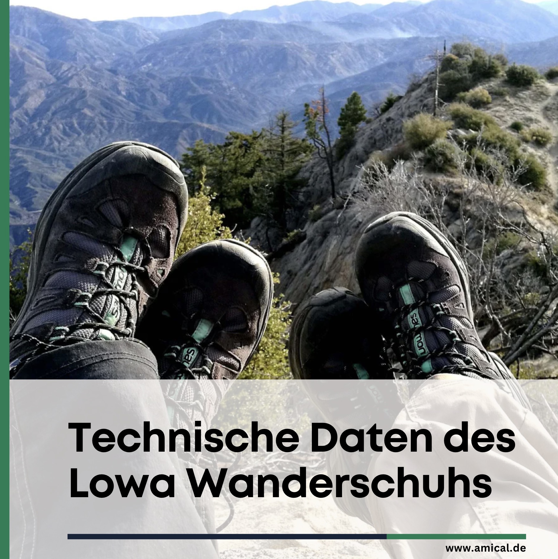 Technische Daten des Lowa Wanderschuhs
