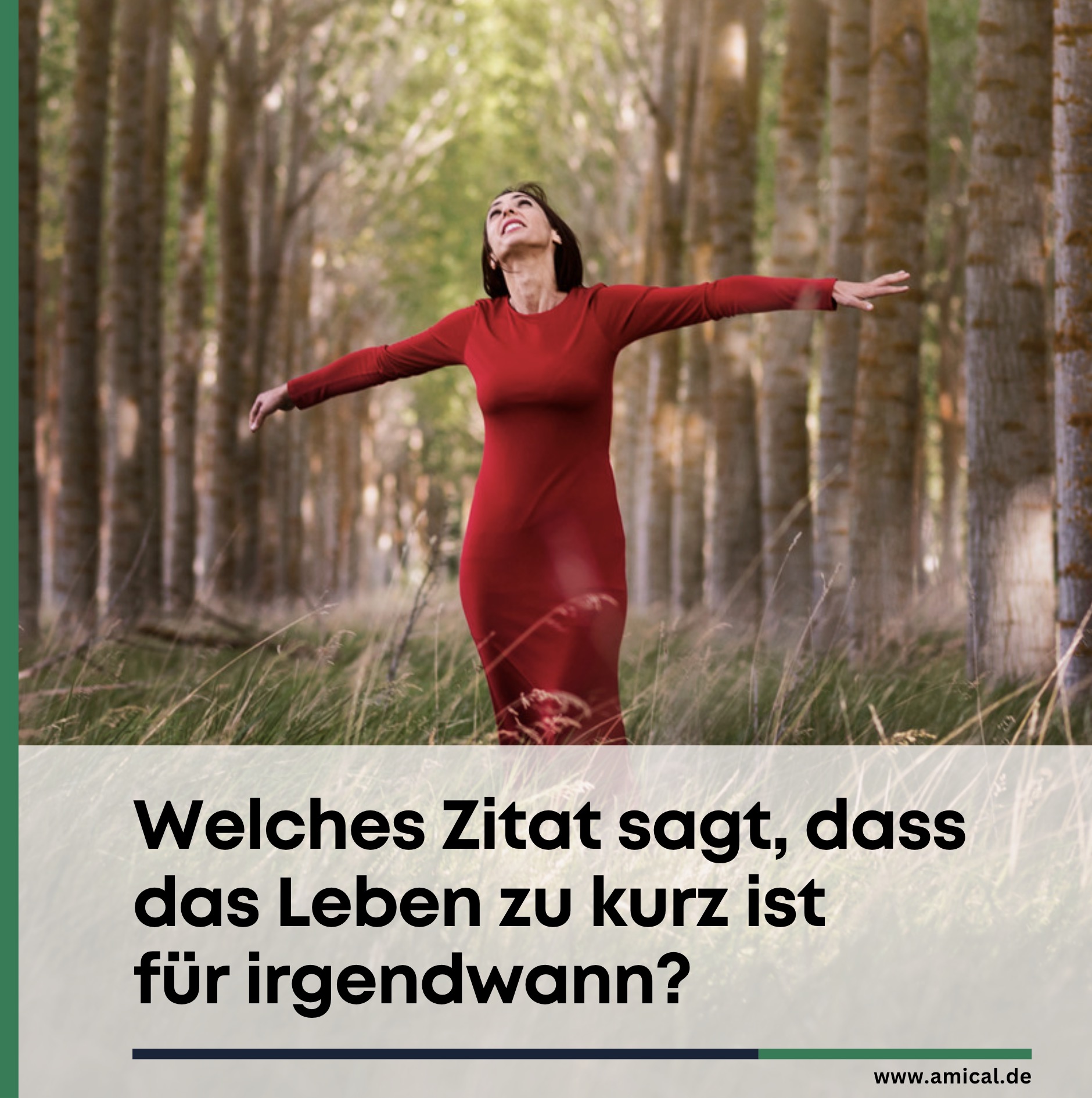 Welches Zitat sagt, dass das Leben zu kurz ist für irgendwann? Welches Zitat sagt, dass das Leben zu kurz ist für irgendwann?