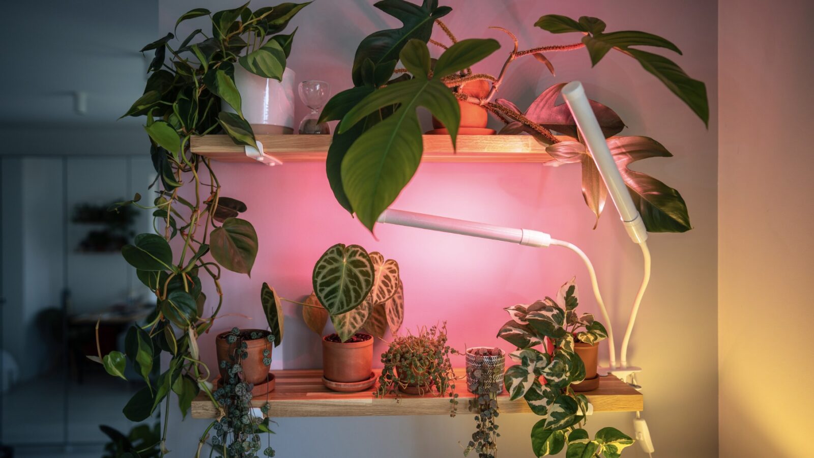 Indoor-Nachhaltigkeit