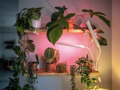 Indoor-Nachhaltigkeit