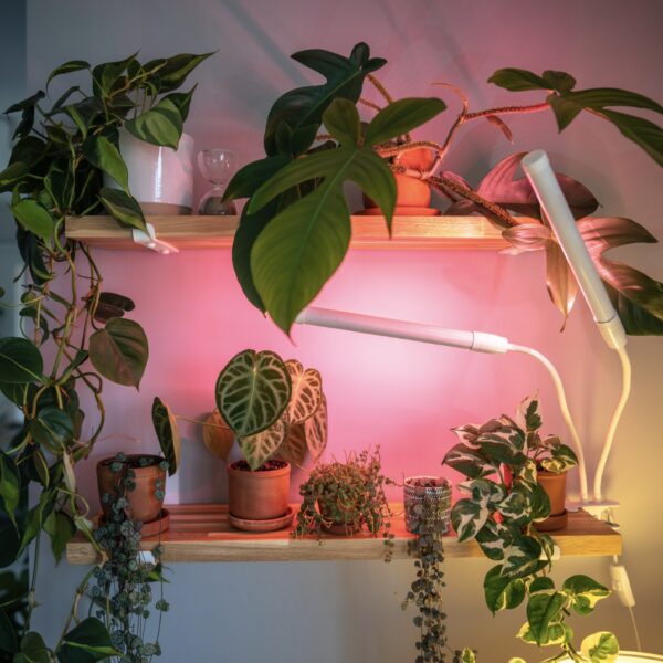 Indoor-Nachhaltigkeit
