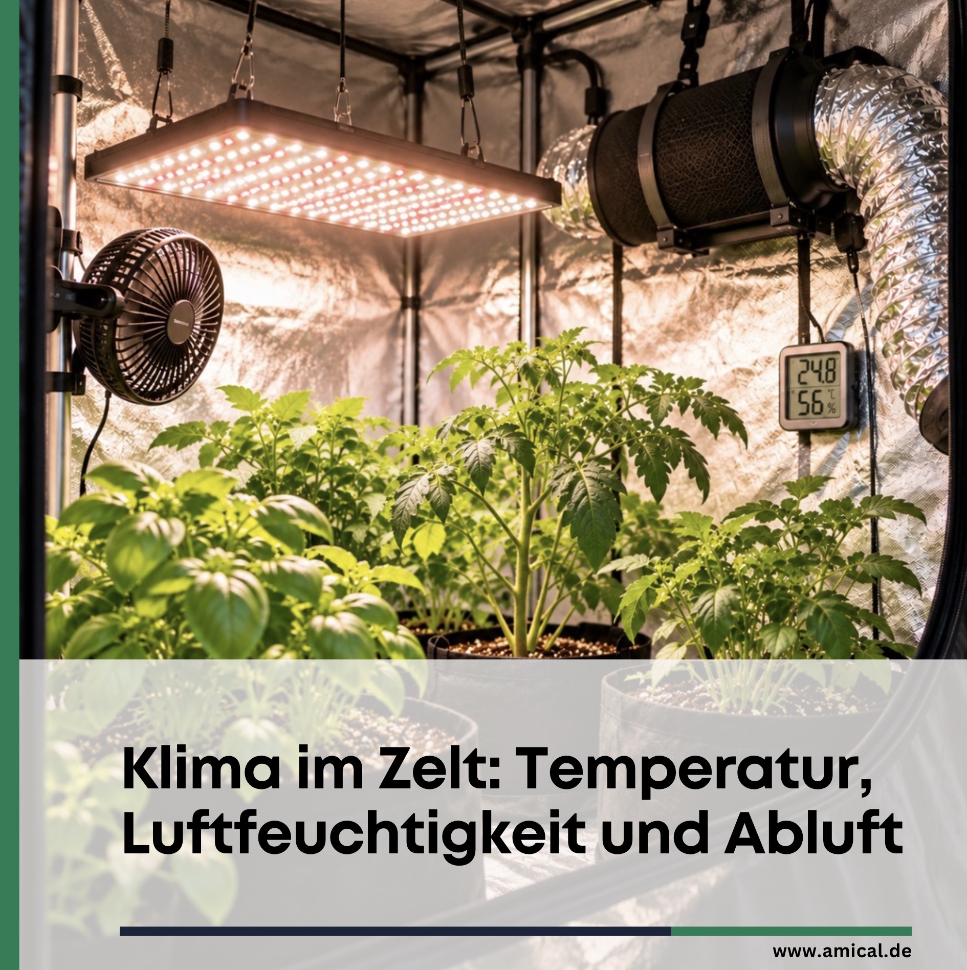 Klima im Zelt: Temperatur, Luftfeuchtigkeit und Abluft Klima im Zelt: Temperatur, Luftfeuchtigkeit und Abluft